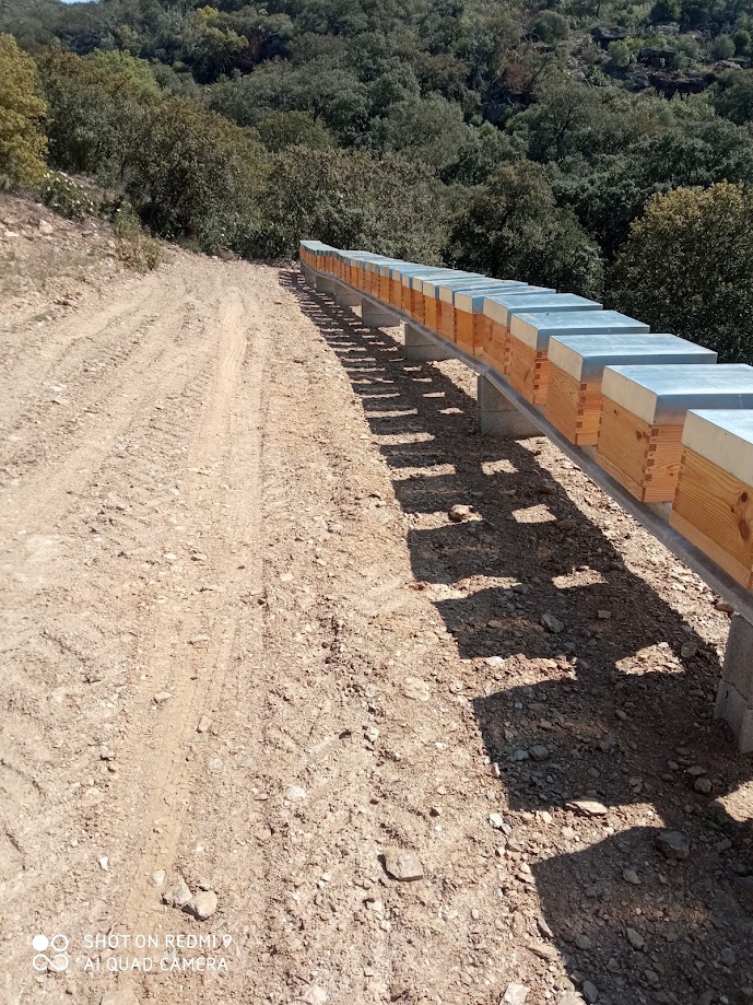 Crescimento sustentado