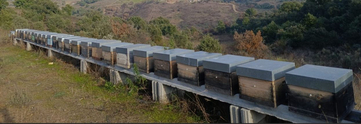 A exploração atual